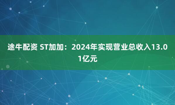 途牛配资 ST加加：2024年实现营业总收入13.01亿元