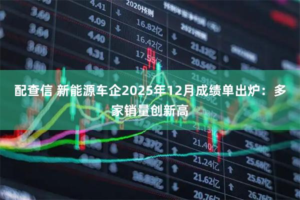 配查信 新能源车企2025年12月成绩单出炉：多家销量创新高