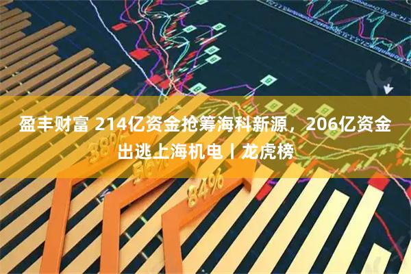 盈丰财富 214亿资金抢筹海科新源，206亿资金出逃上海机电丨龙虎榜