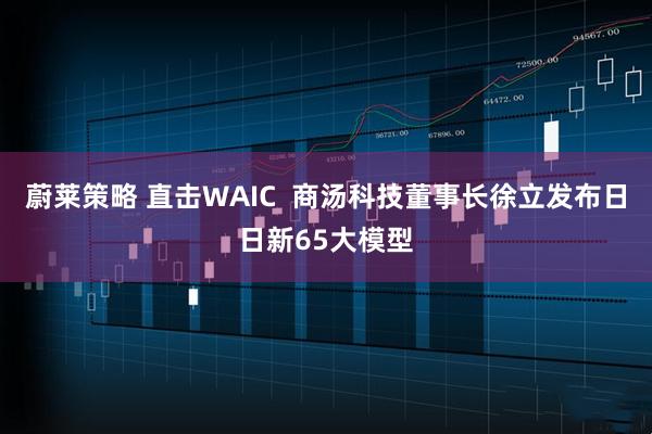 蔚莱策略 直击WAIC  商汤科技董事长徐立发布日日新65大模型