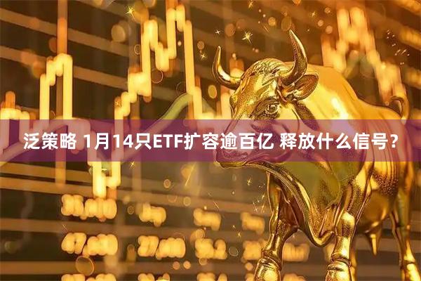 泛策略 1月14只ETF扩容逾百亿 释放什么信号？