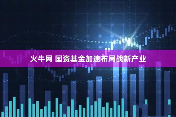 火牛网 国资基金加速布局战新产业